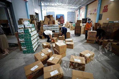 4萬單巴東綠色農(nóng)產(chǎn)品直供北京 從田間到舌尖的生態(tài)美味